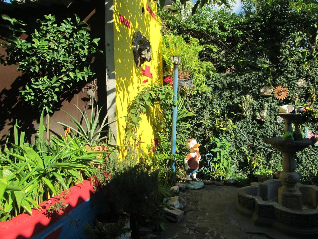 San Mateo Hotel 3*